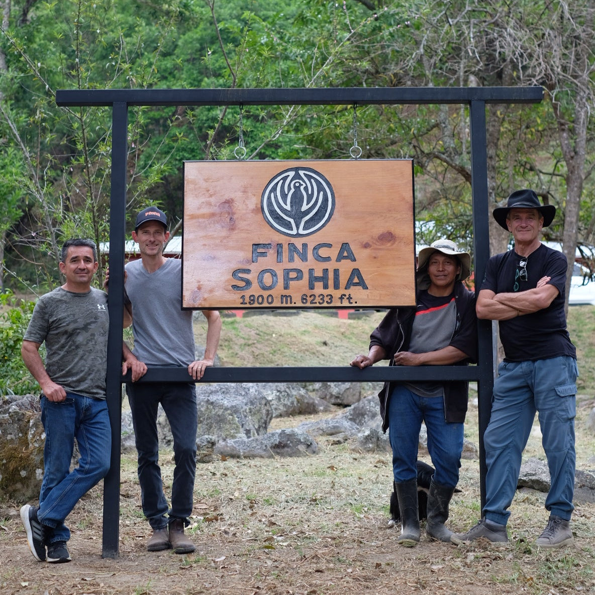 FINCA SOPHIA GESHA