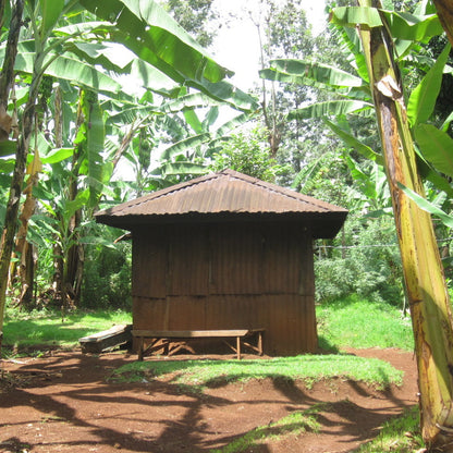 KII PEABERRY