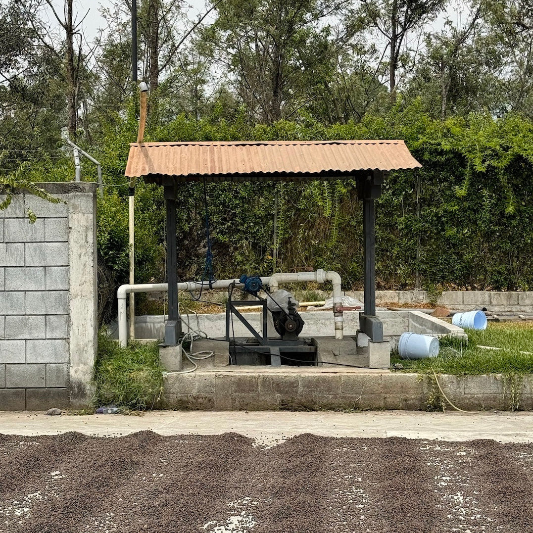 SANTA CLARA