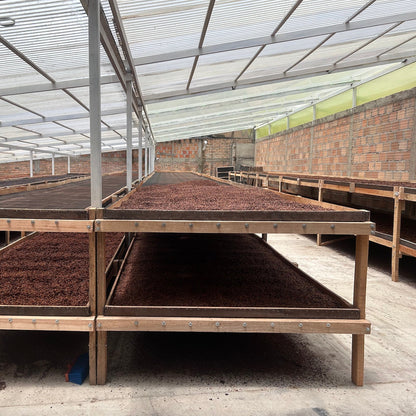 AROMA NATIVO PINK BOURBON