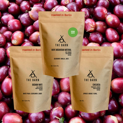 FRUITY COFFEE BUNDLE