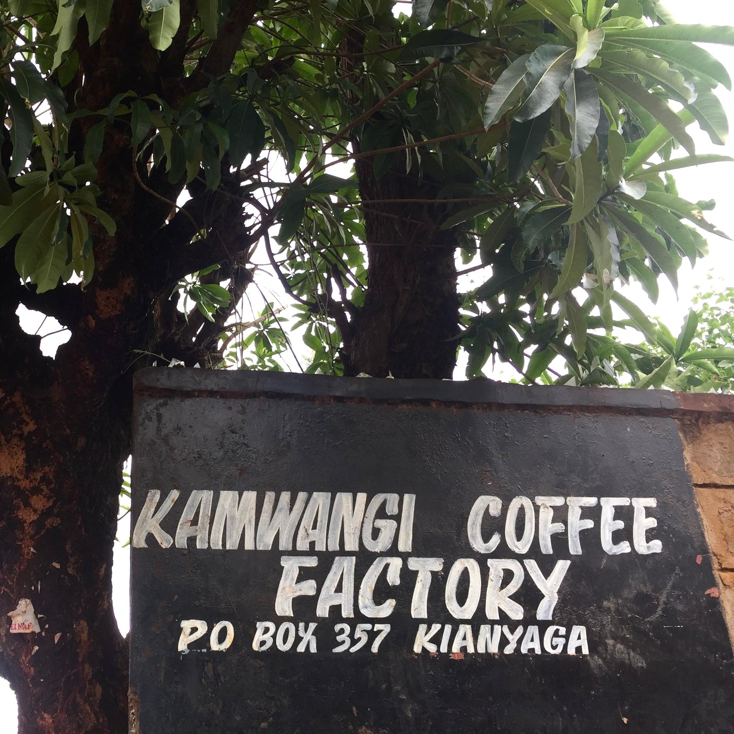 KAMWANGI AB