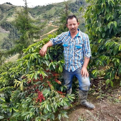 LA PIRAGUA